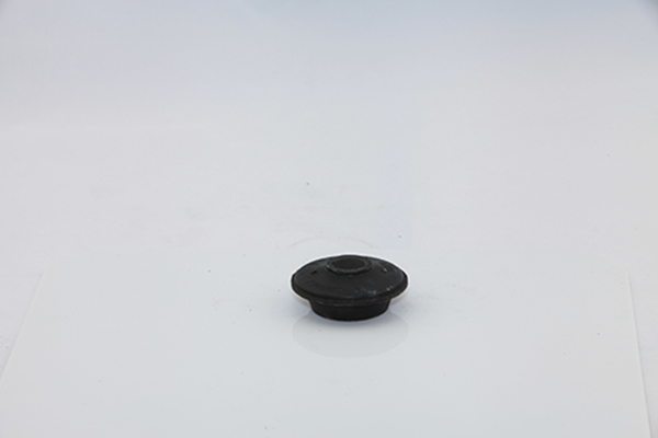 Lower swing arm bushing
